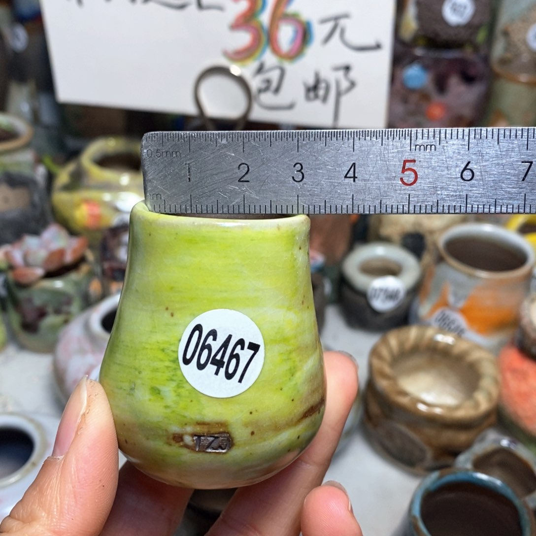 花盆拍5送一个小礼物