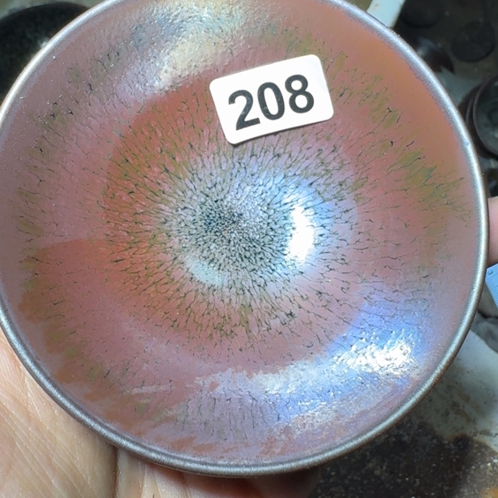 茶盏提出解决农村留守学生入学