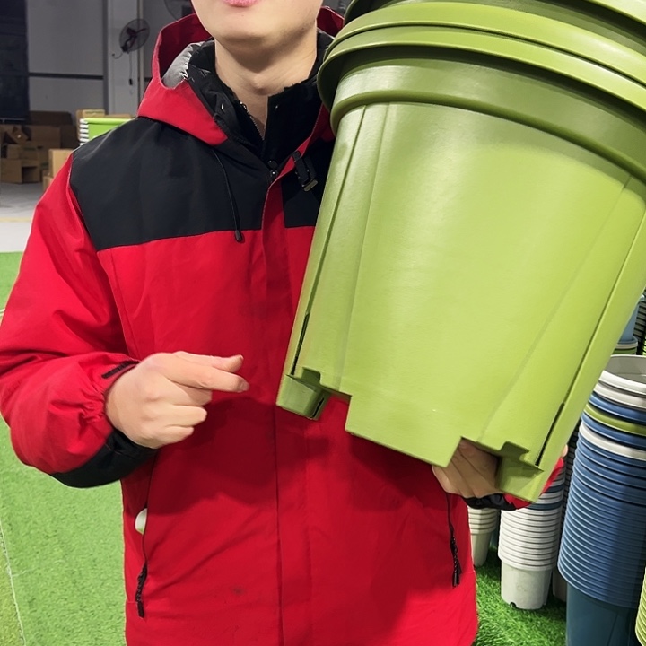 清仓青山口40高34果绿色5只无托