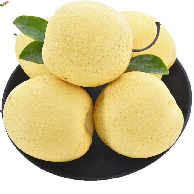 冬梨500g±50g