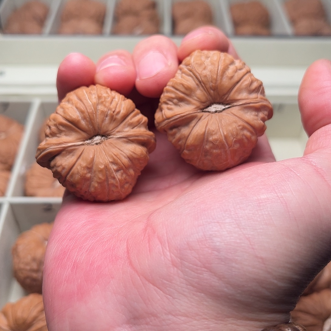 W***n吊坠文玩核桃南瓜墩 英文