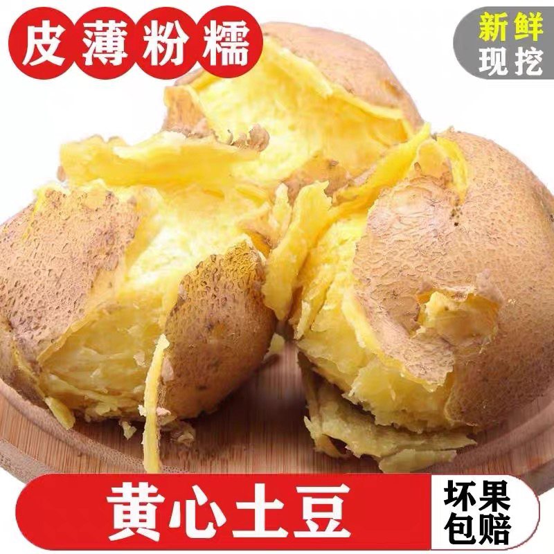 贵州老品种新鲜现挖黄皮黄心土豆软糯大个当季蔬菜洋芋