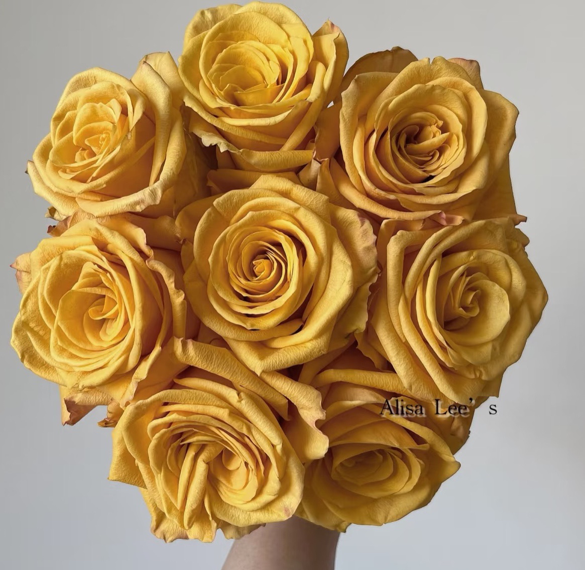 超新品切花【大黄蜂】复古芝士黄高杯大切花阳台庭院月季