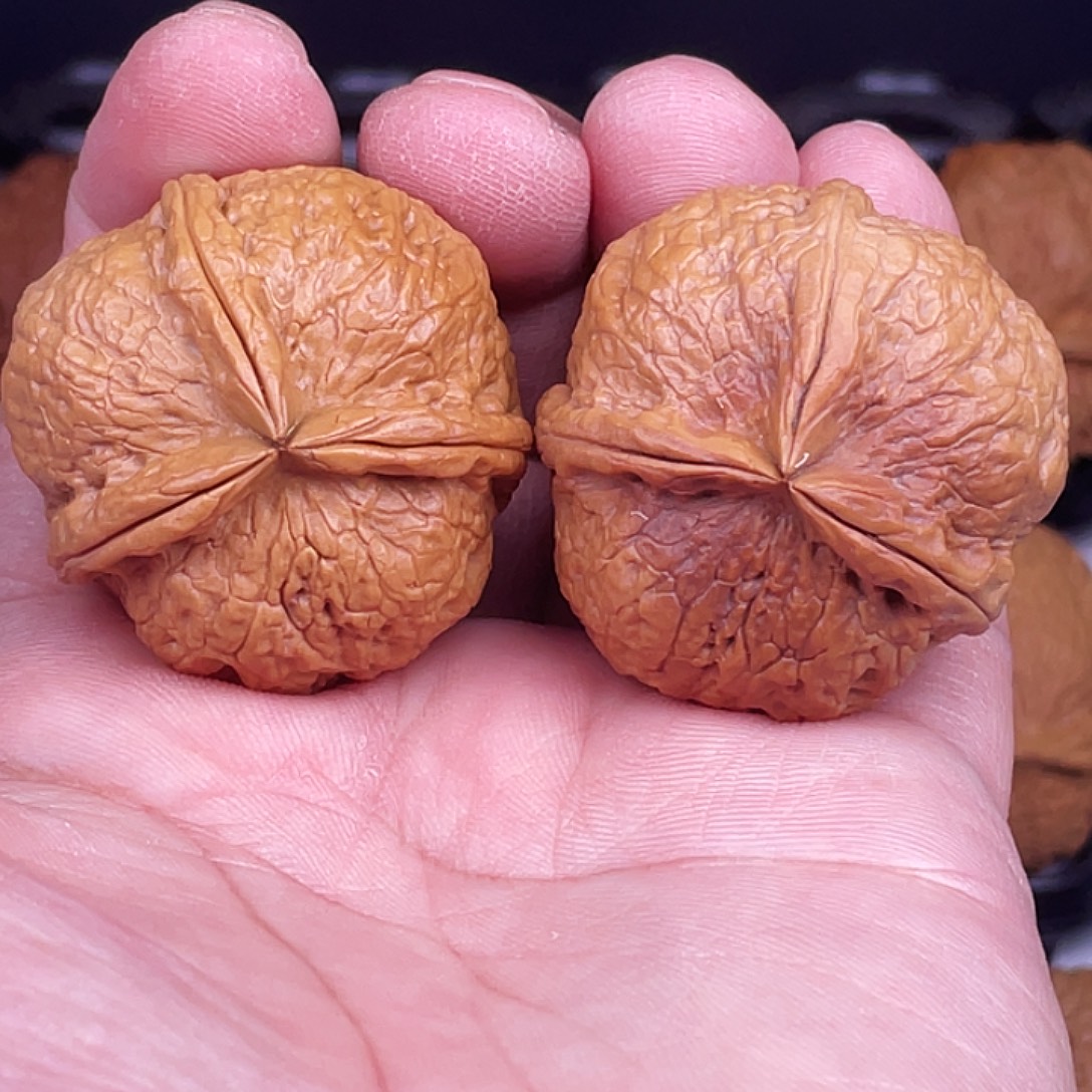 文玩核桃吊坠黄金蟒三棱39尺不退不换