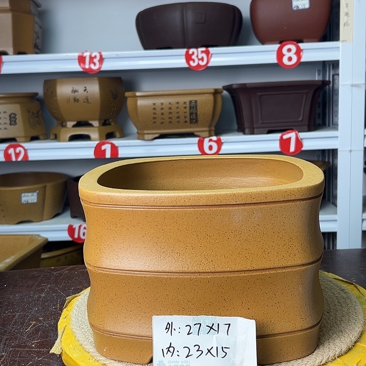 花盆紫砂你在一起