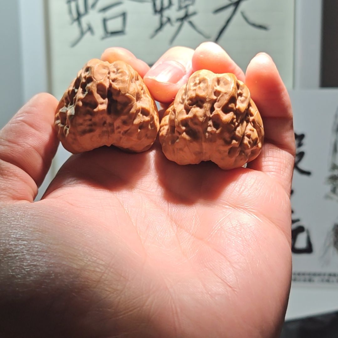 Z***g手串/手链核桃蛤蟆头福利111