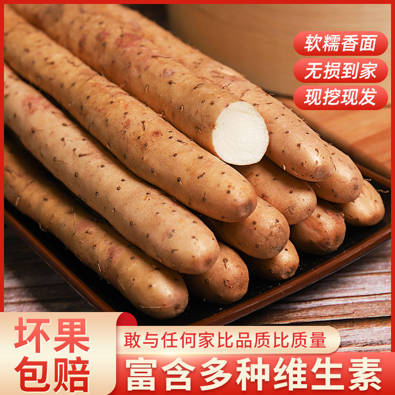 正宗垆土铁棍山药当季现挖新鲜粉糯甘面香产地直发精品断果5斤装