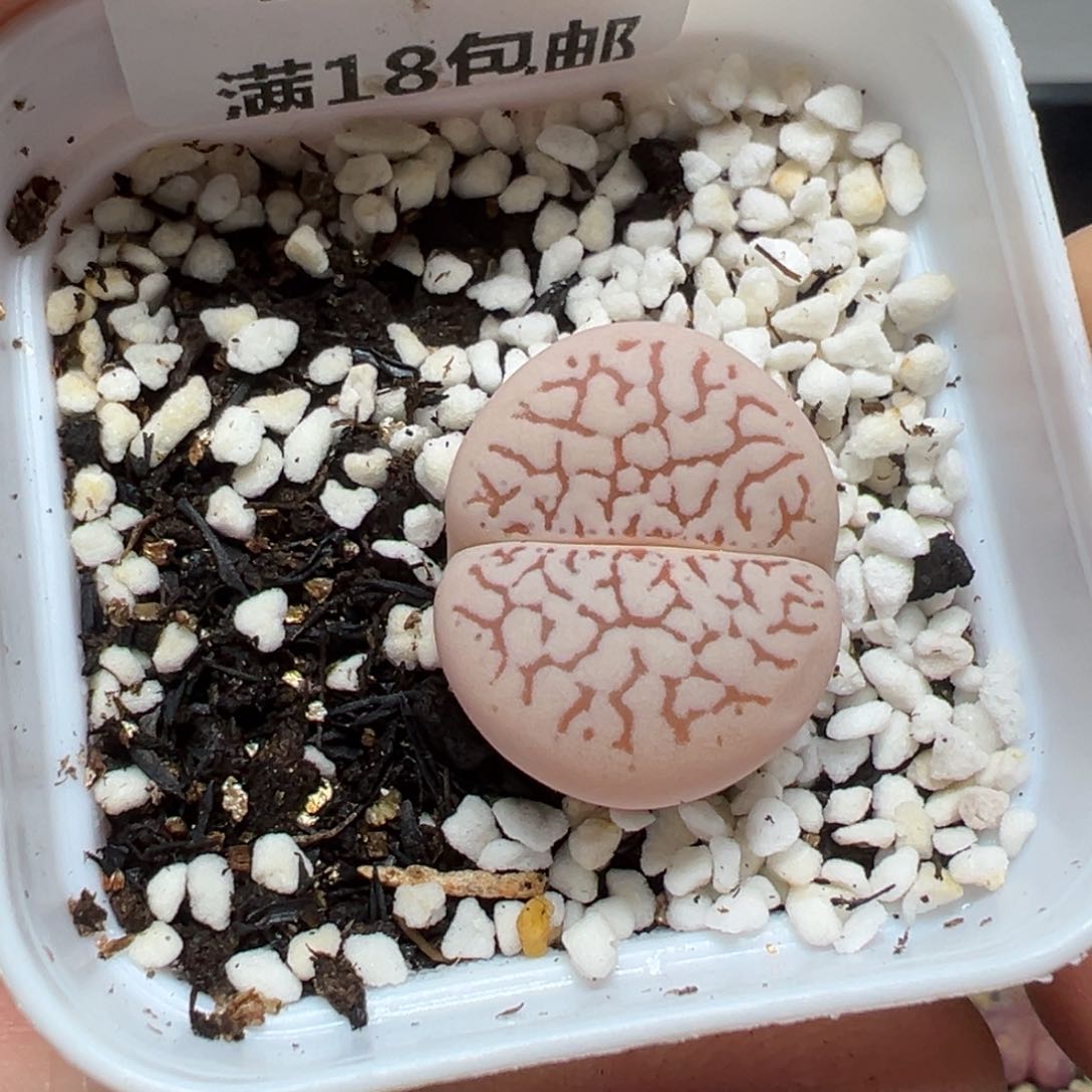 【闪购商品】457……