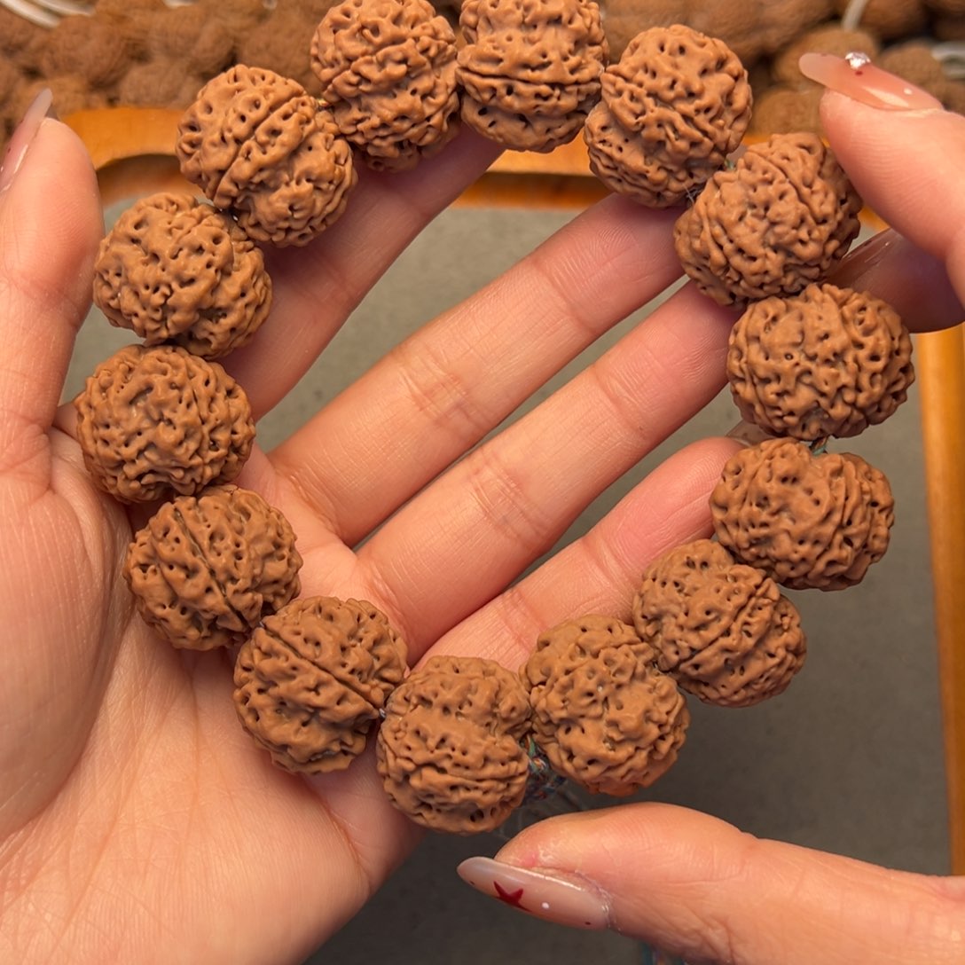 菩提4号金刚菩提原生态梅花23