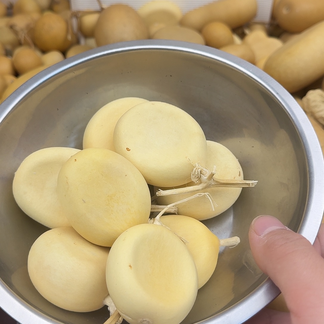 珠***貝直播间专属葫芦链接13