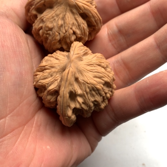 我的心也是你的了吗我