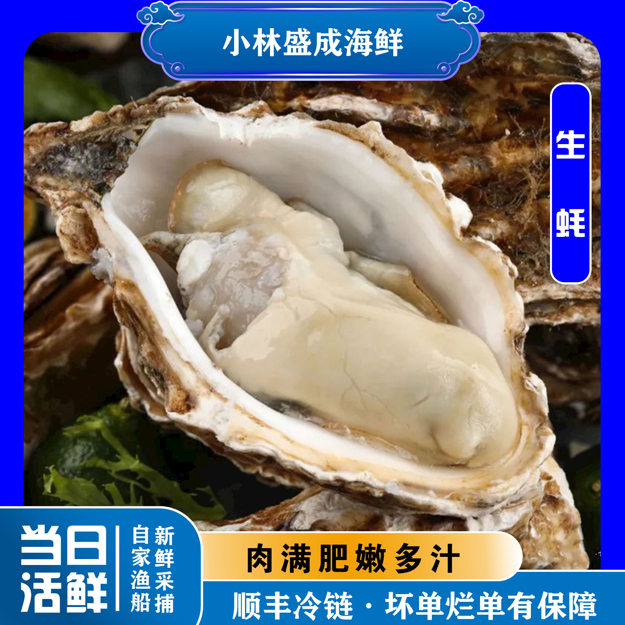 【大连本地】生蚝海蛎子牡蛎5斤 产地现捞直发 顺丰冷链 保鲜保肥