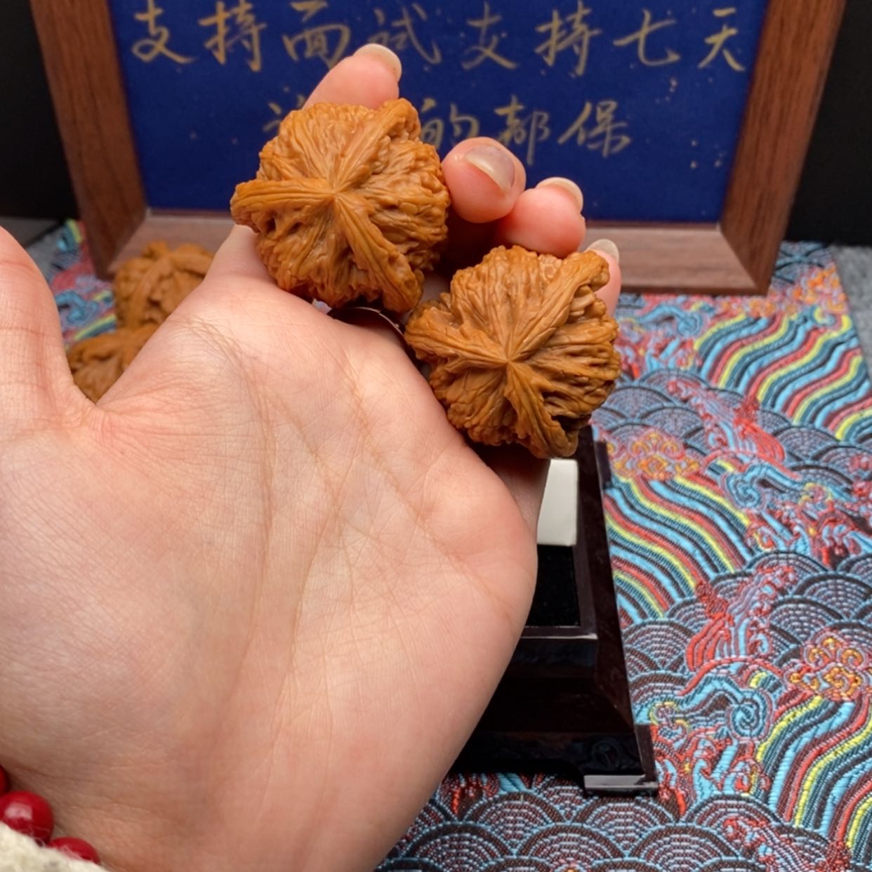 【闪购商品】我****体白狮
