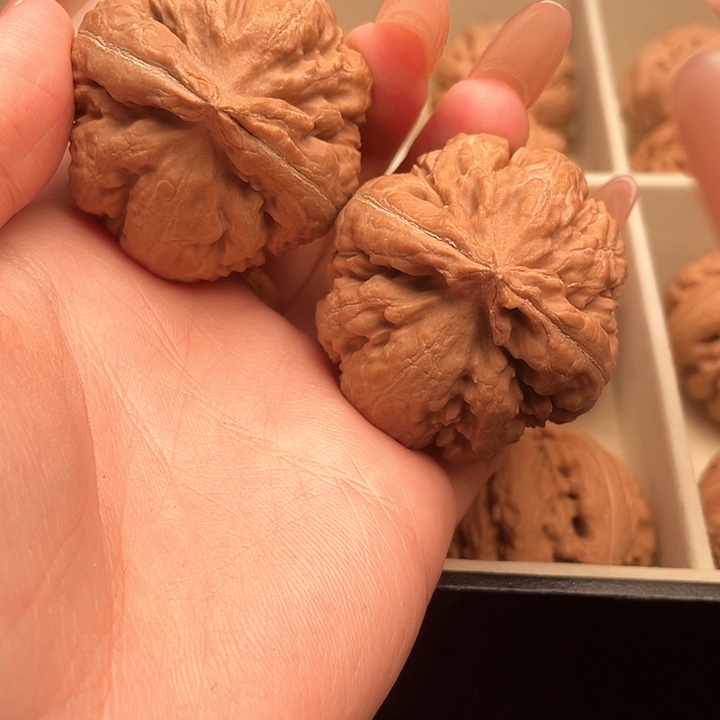 天***灵霸王龙核桃尺寸41