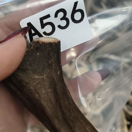 竞***为鹿角鹿角鹿角鹿角鹿角