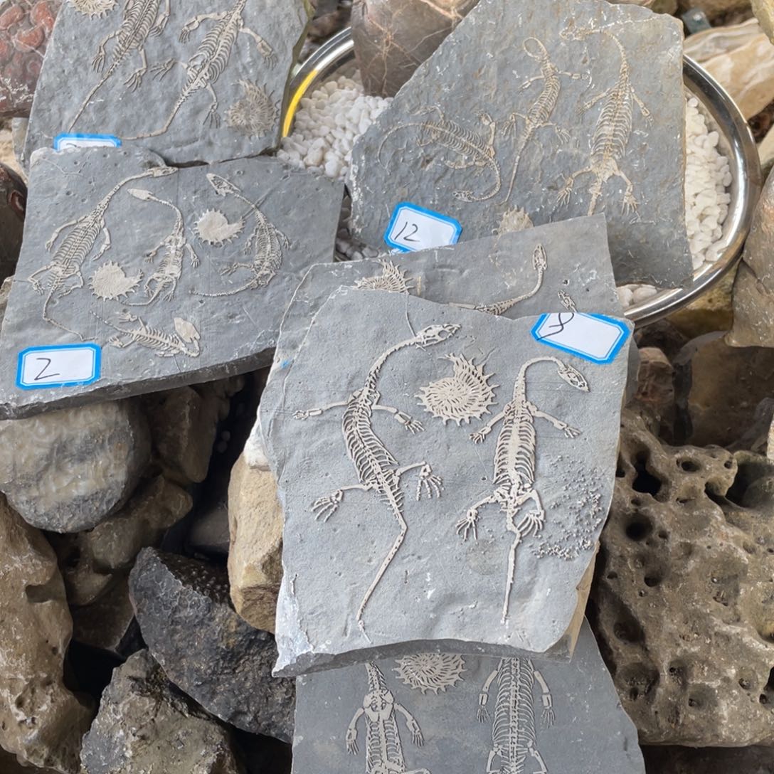 石材9999999999999999999999