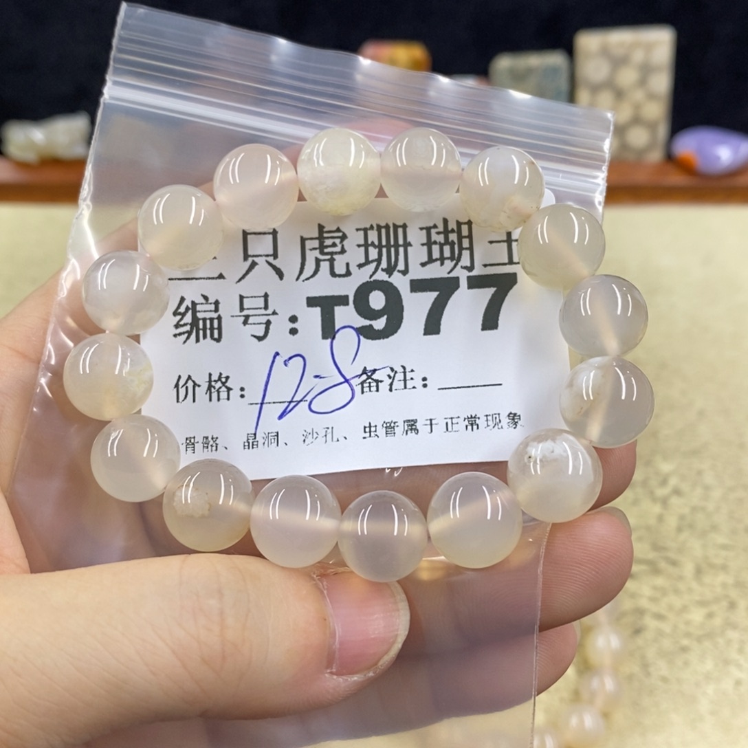 硅化珊瑚（珊瑚玉）1未镶嵌一**好