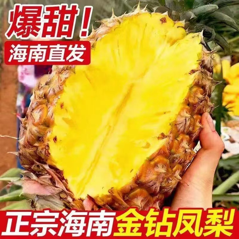 【海南直发】正宗海南金钻凤梨新鲜现摘应季水果孕妇手撕无眼菠萝