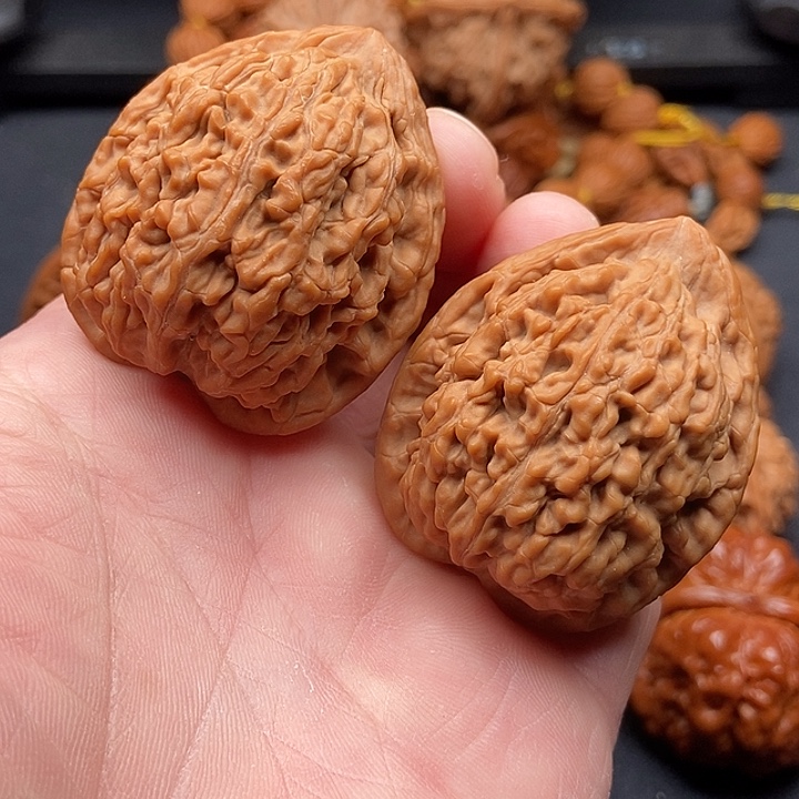 文玩核桃把件蚂蚁王