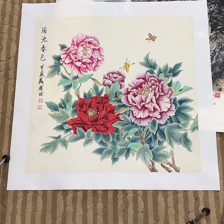 国画小*狸花鸟的翅膀是白色和白色两