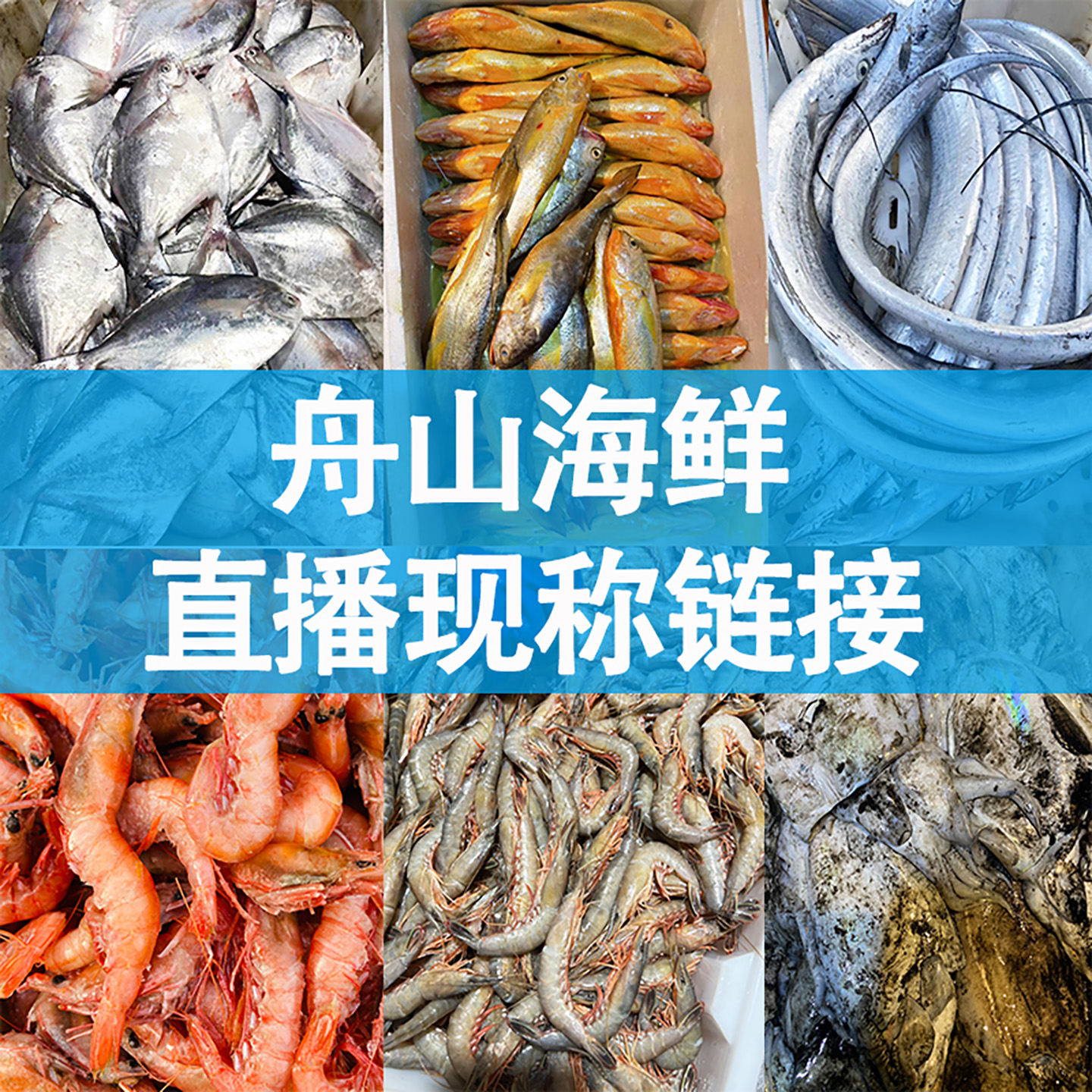 【舟山海鲜】直播现称现拍改价链接1号陆运