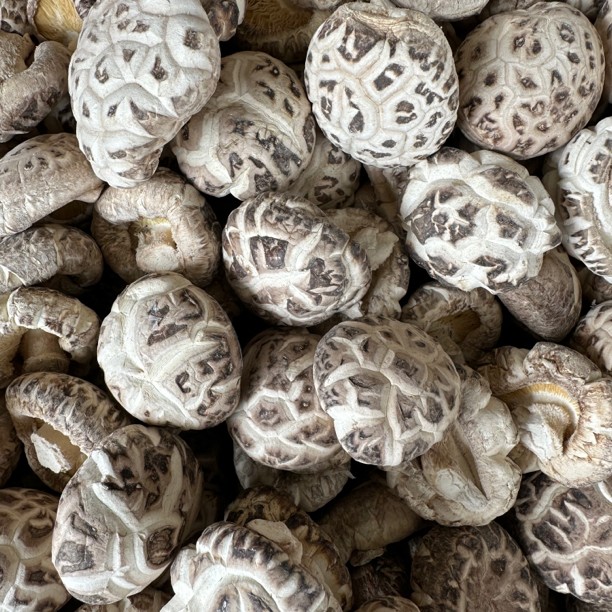 花菇 厚肉花菇干香菇干 500克