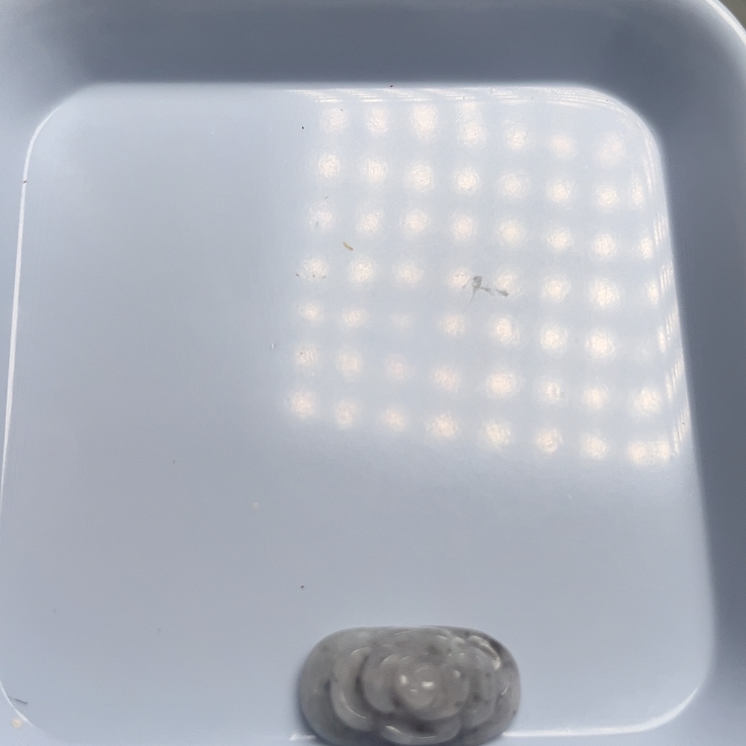 翡翠未镶嵌颈饰天然翡翠