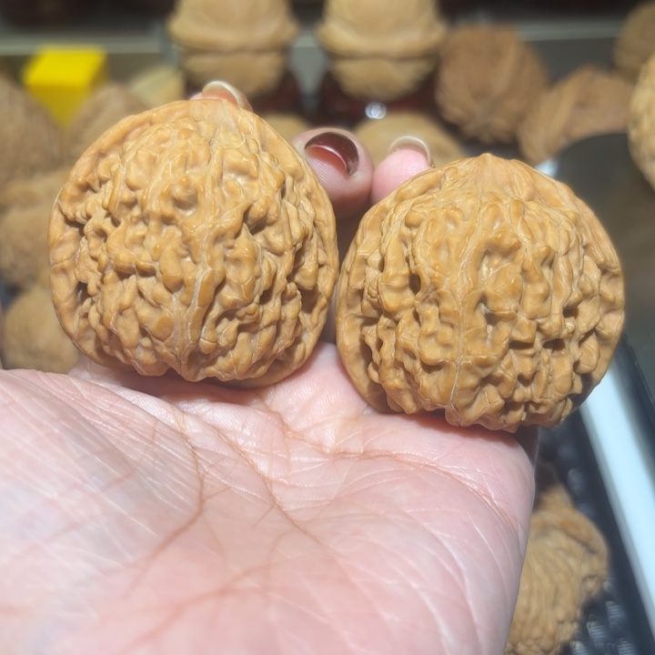 束***n文玩核桃吊坠42蚂蚁王一对