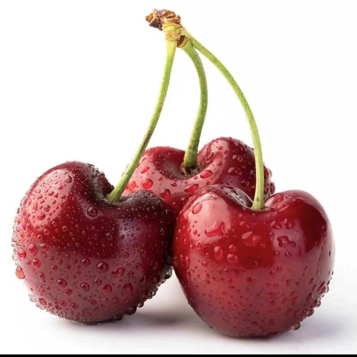 【1斤2Jd散装】智利空运桑提娜黑车厘子只发天津市除县区内附果径卡