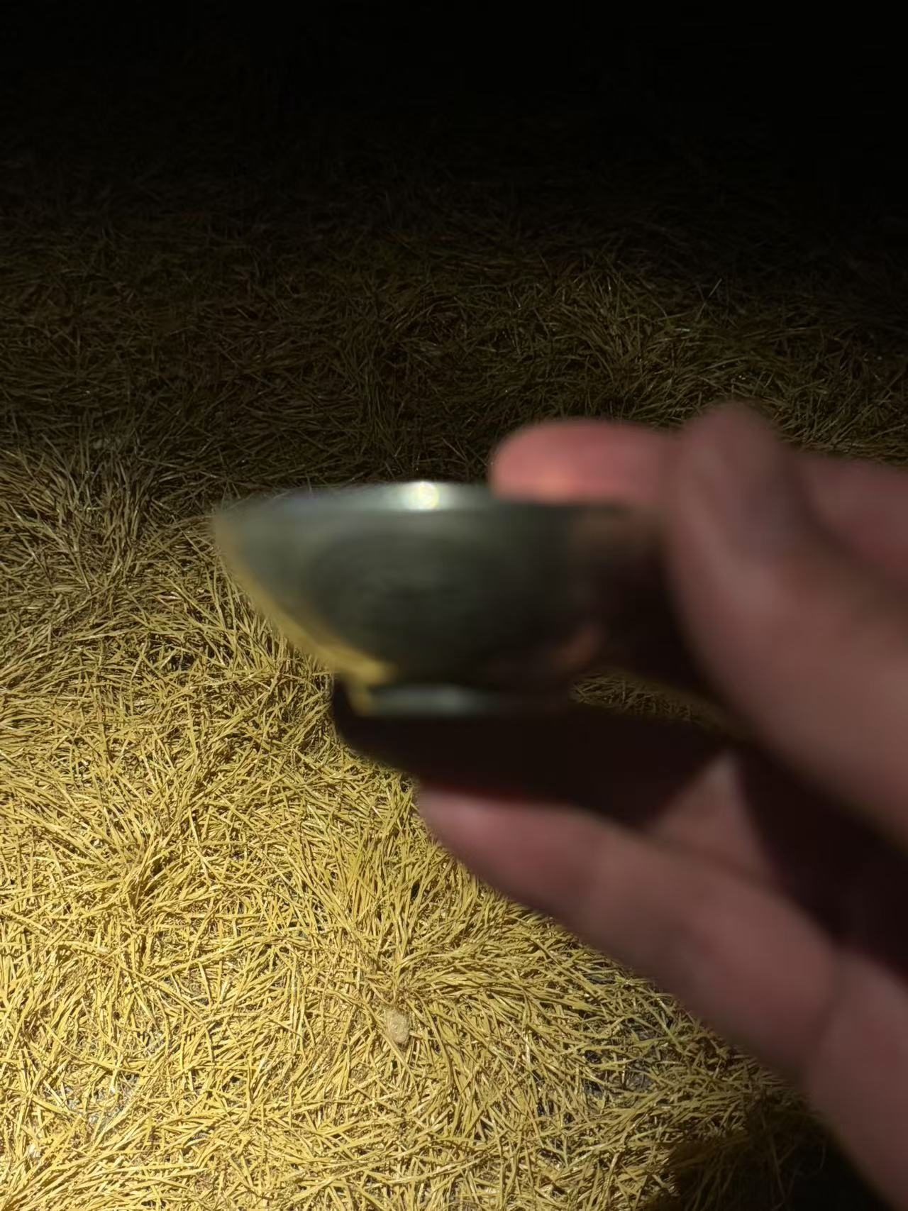 1个家居摆件  78日进斗金精美摆件  精美摆件  现代复古摆件