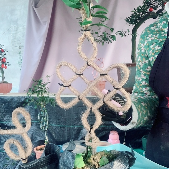 无花朵金弹子中国结。 