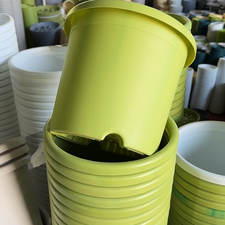 微瑕5#口径29果绿5个无托