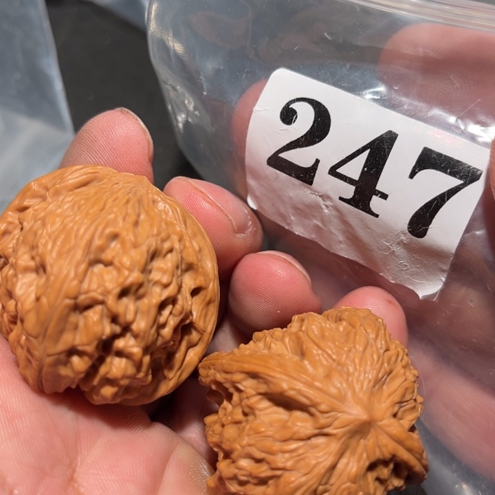 吊坠文玩核桃1111111111111