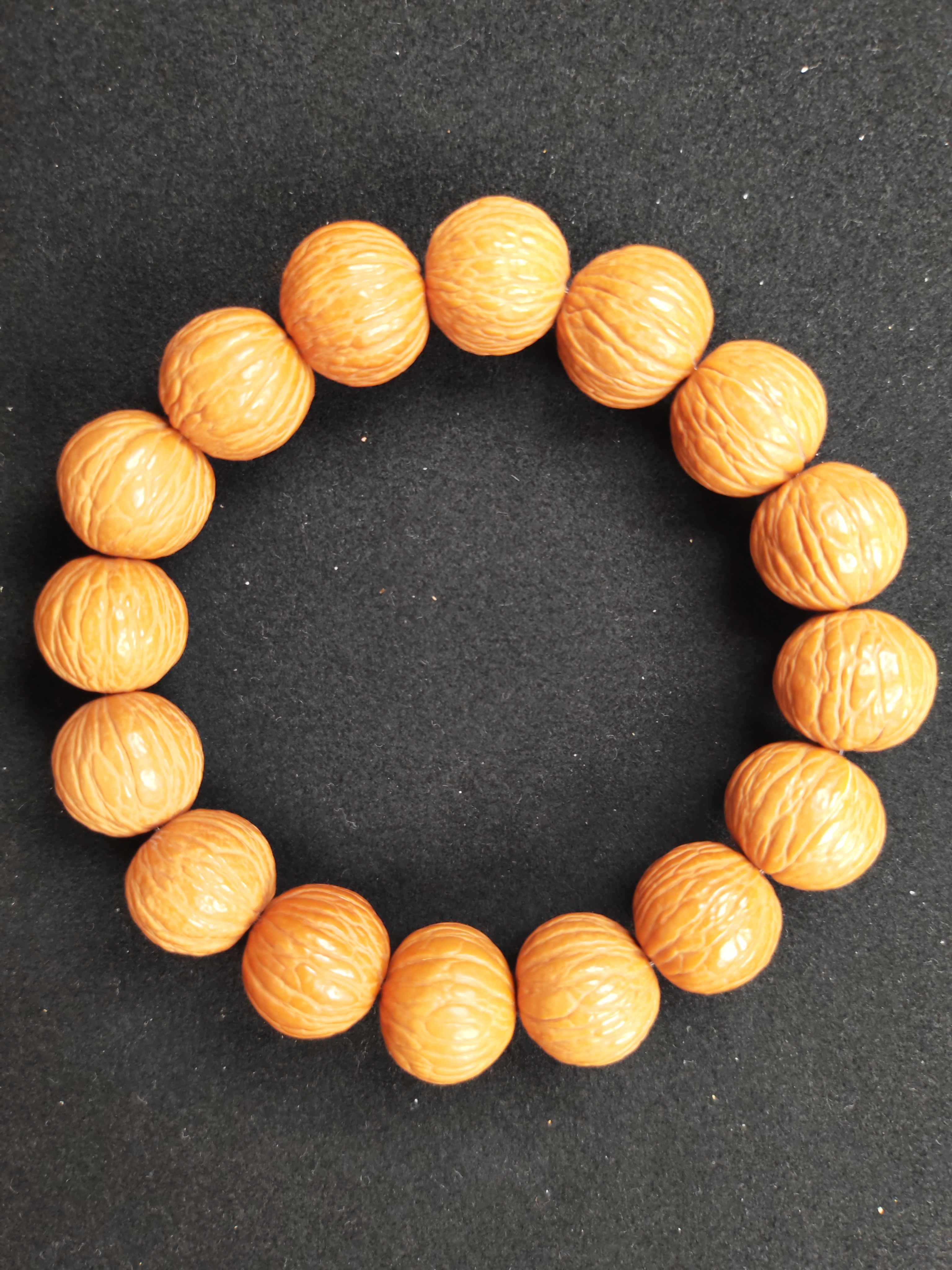 原皮猴头核桃凤羽