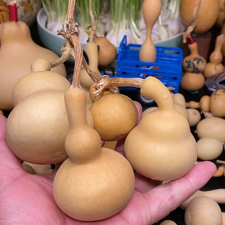 暗*狼精品葫芦手把葫芦10