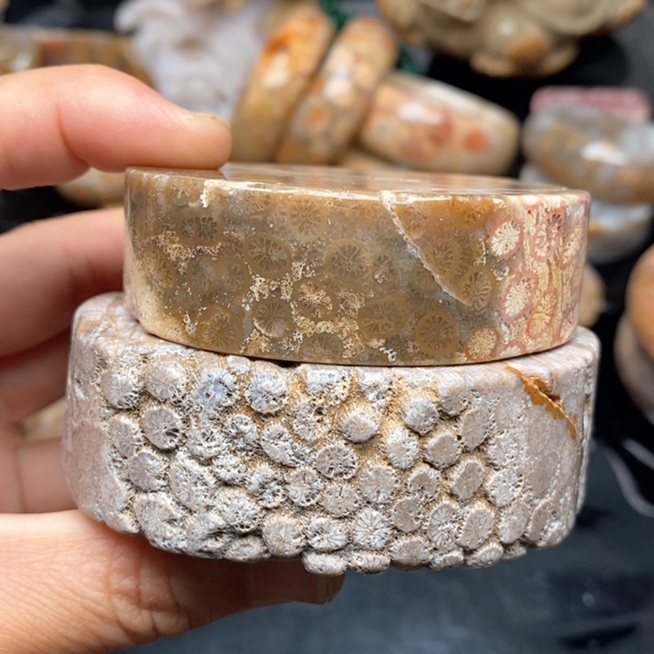 硅化珊瑚（珊瑚玉）手镯未镶嵌