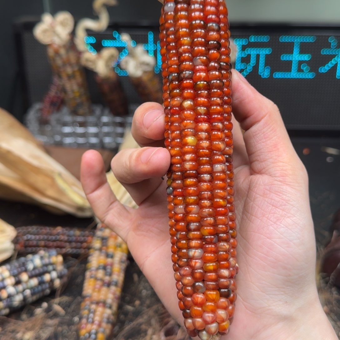 柏香籽/百香籽吊坠开****?