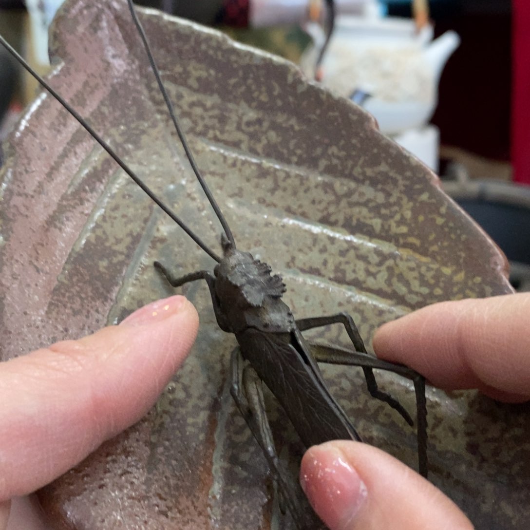茶盏推荐这家店推荐这家