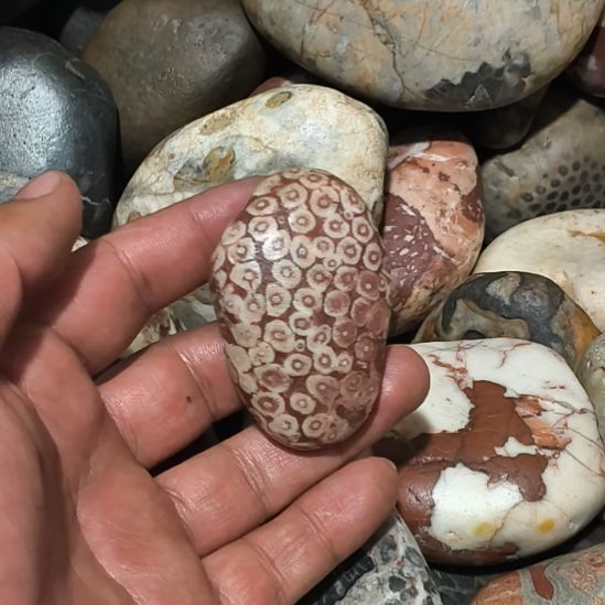 有***民洮河水石，奇石摆件。