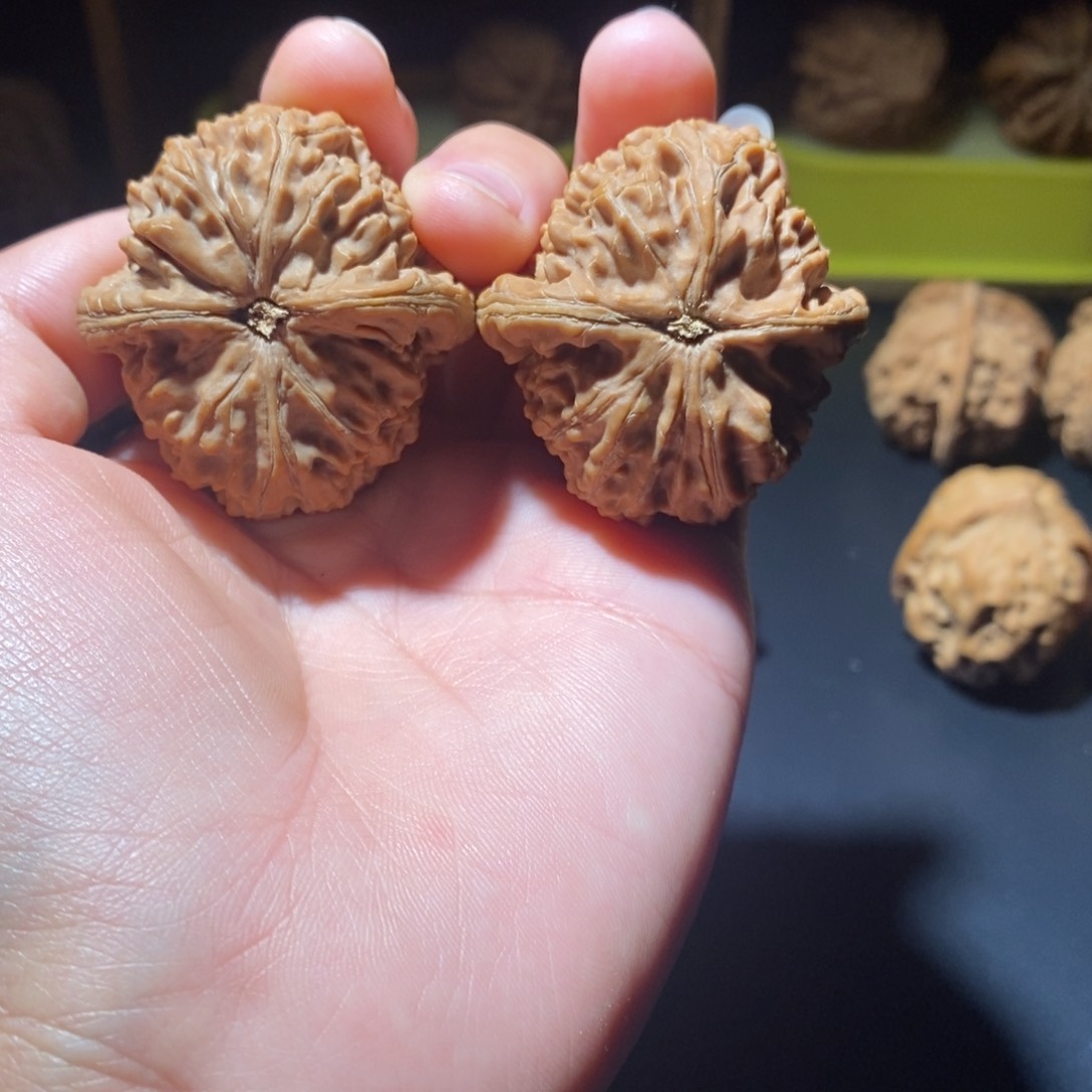 文玩核桃吊坠全品水龙纹