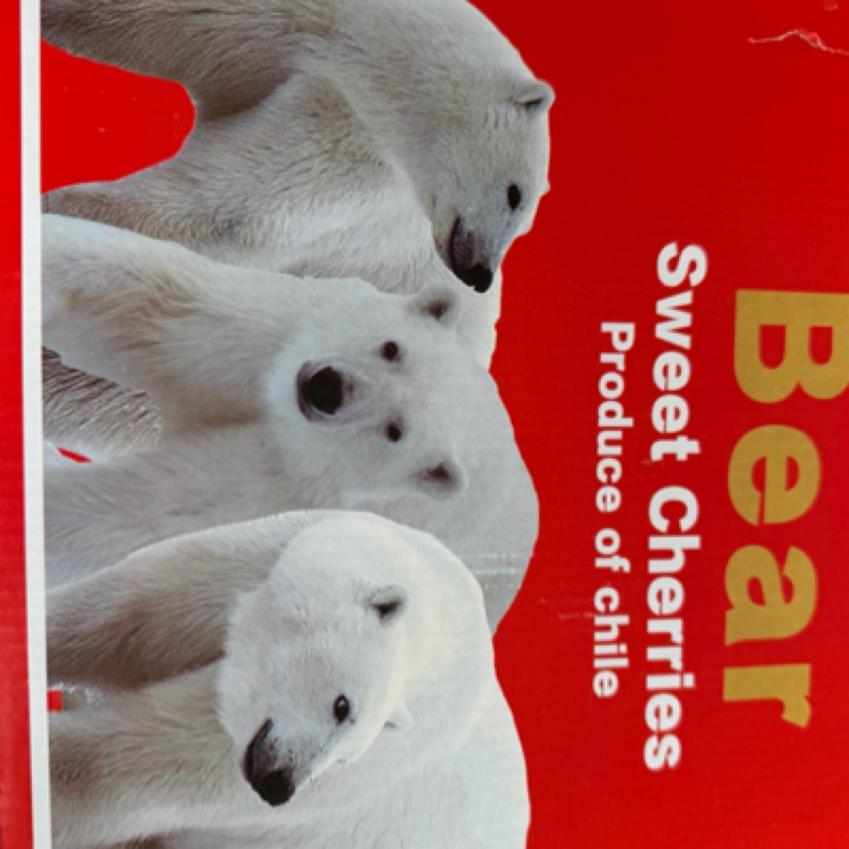 4JJJJ车厘子冰熊原箱加黑净重5斤智利海运车厘子年货