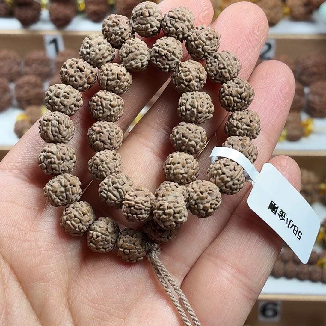 金刚菩提手串稀有精品麦穗龙