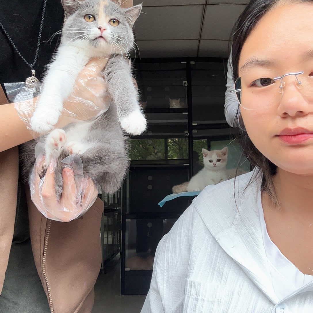 三花妹妹 两针疫苗
