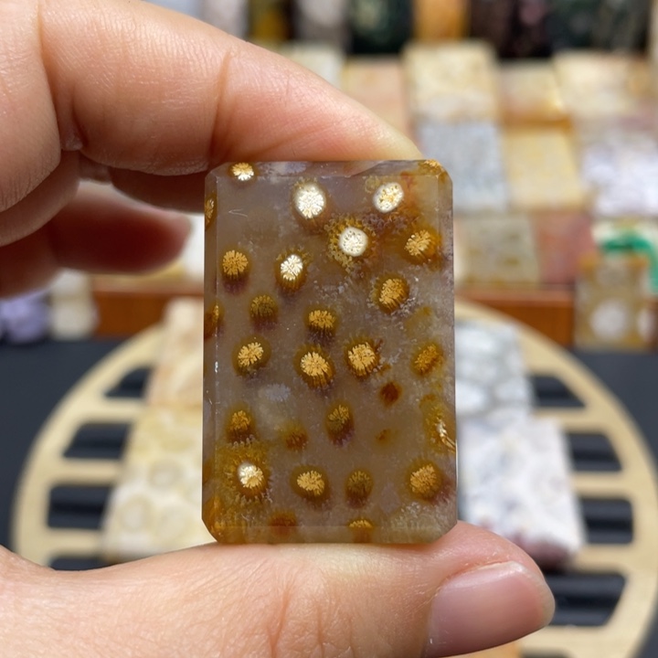 硅化玉未镶嵌颈饰K27