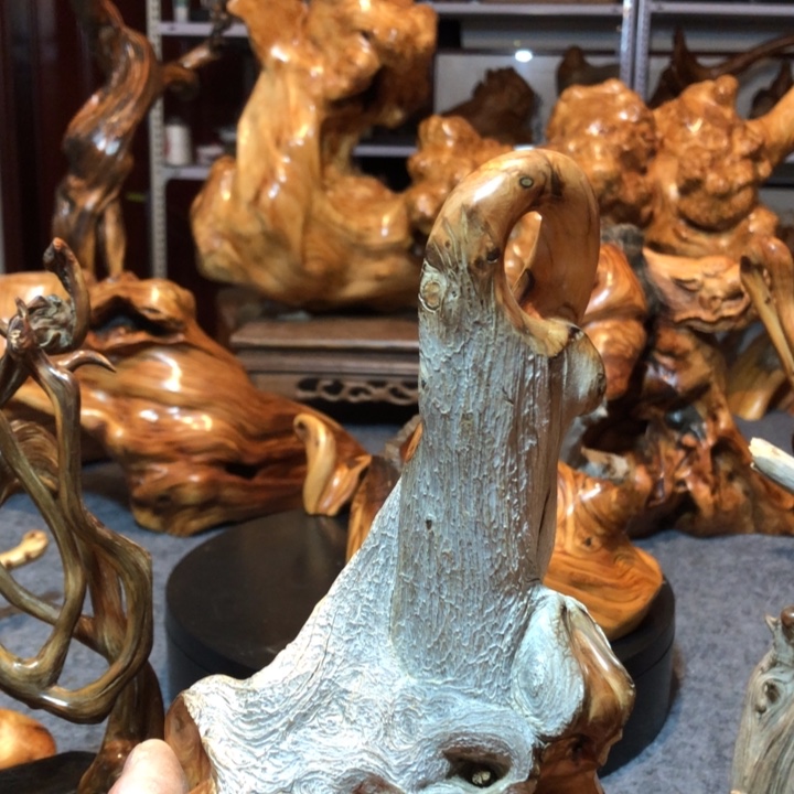 柏木（崖柏）开*崖柏3