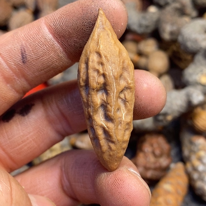 桃核吊坠东北特产217