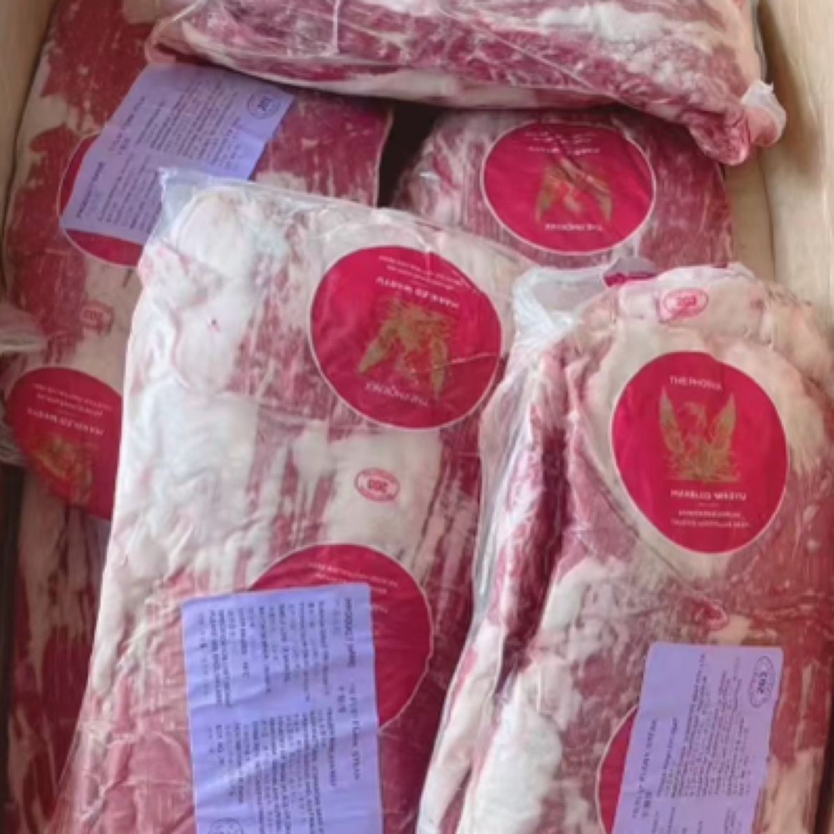 红凤凰M3牛腩排原切牛肉