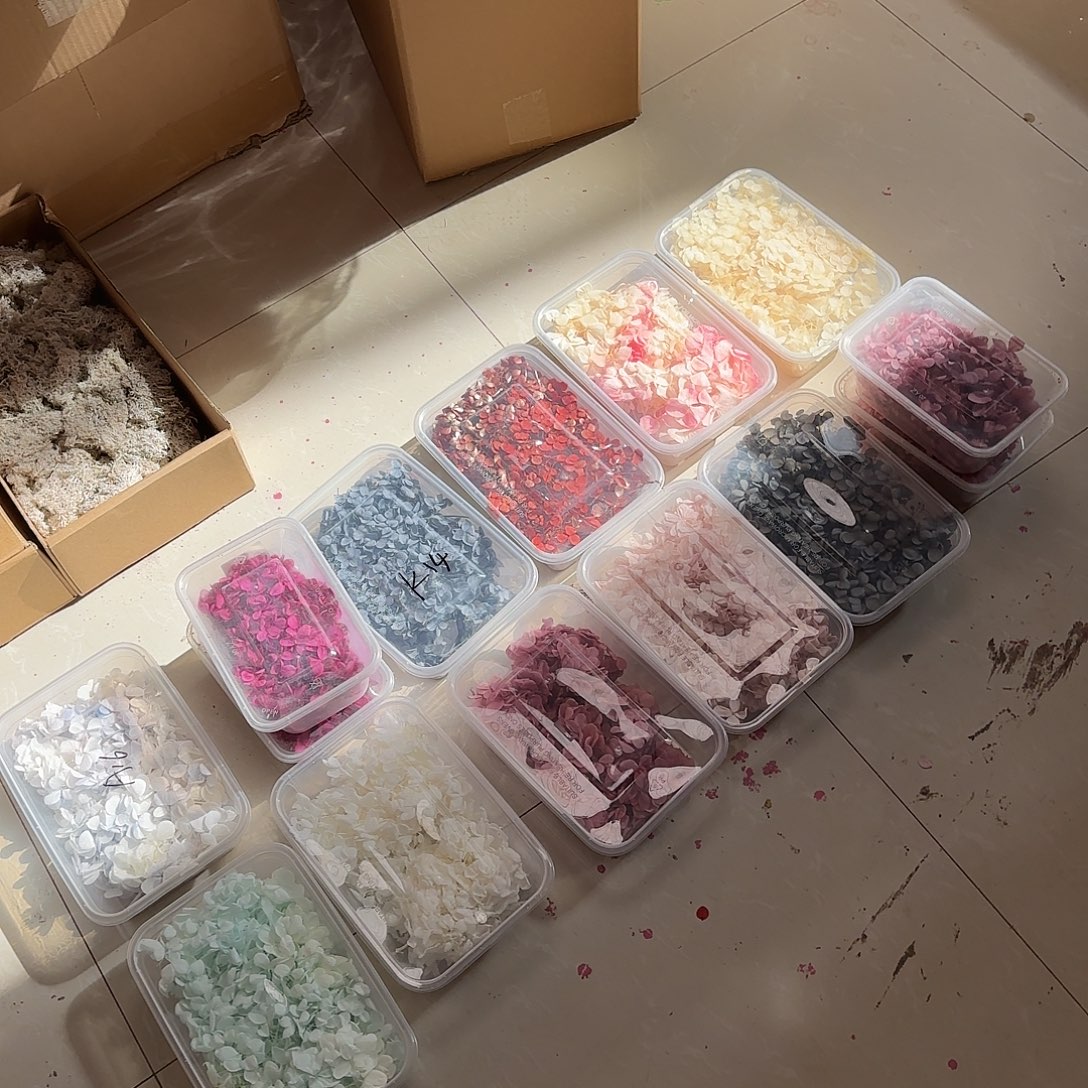 K14号组合绣球12盒