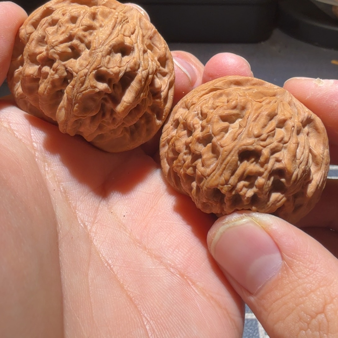 文玩核桃把件玉华宫粗筋王