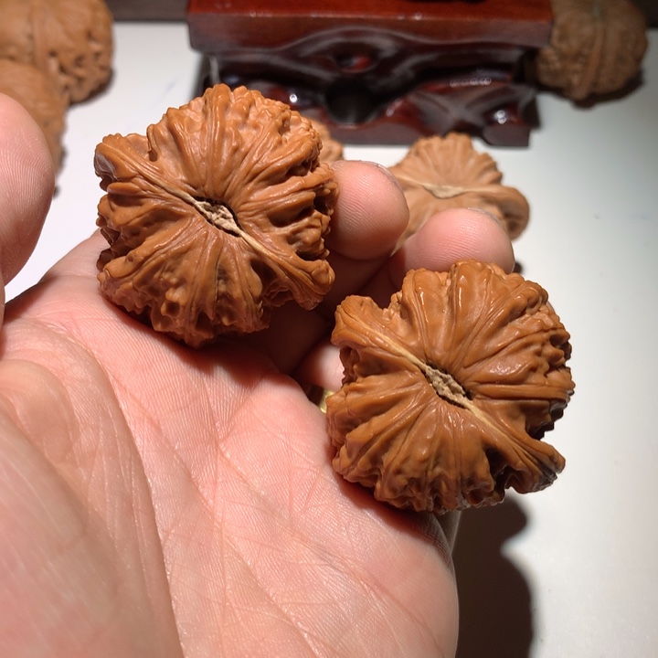 把件文玩核桃苟*白狮子